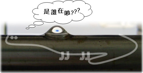 無限台南/陽台上的鱷魚醒了