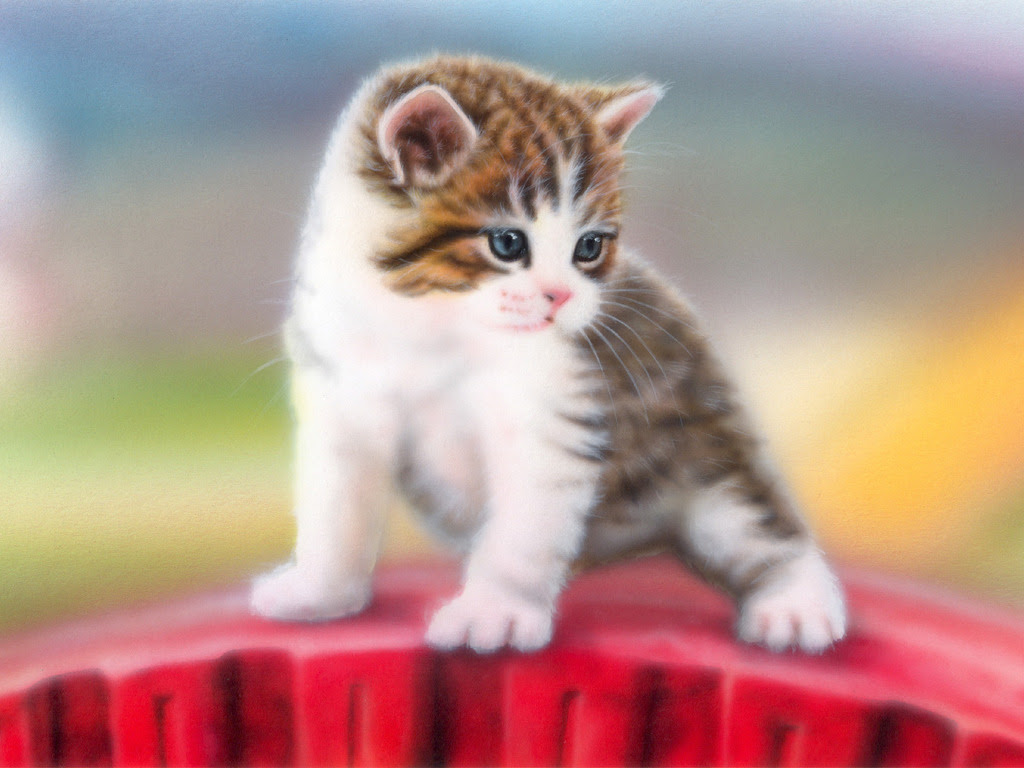 ロイヤリティフリーかっこいい 猫 イラスト しかるねこ 壁紙 無料イラスト集