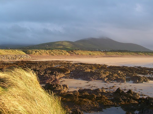 Wild Beach