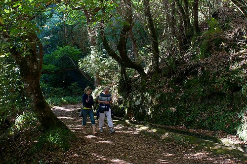 Madeira-40