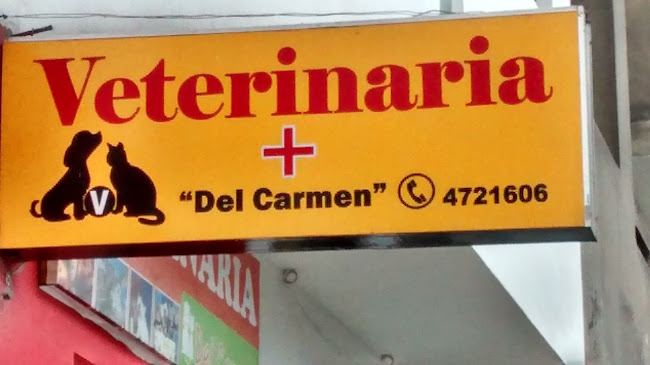 Opiniones de Del Carmen en Lince - Veterinario