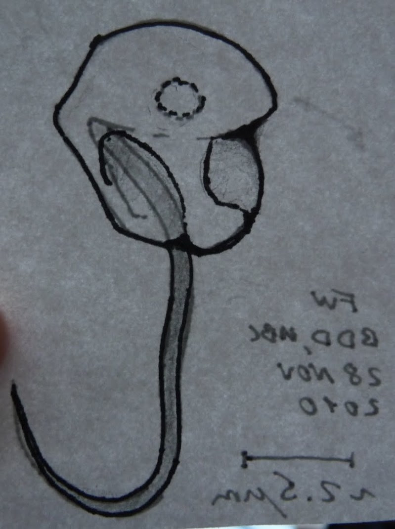 Cute Things To Draw For Your Boyfriend Easy - Creative Art