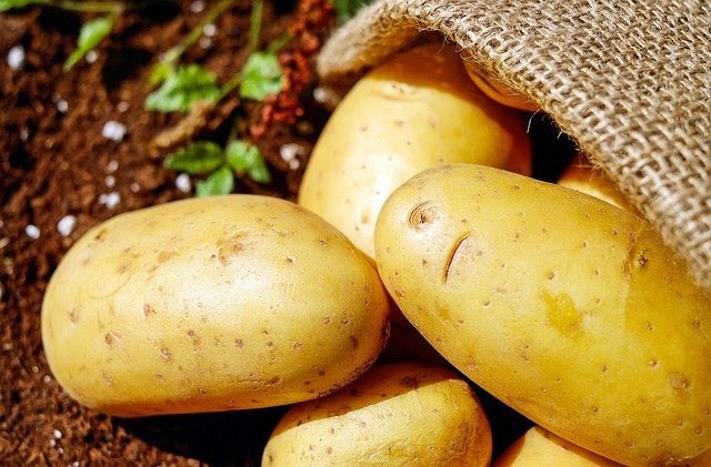 potato(aloo)