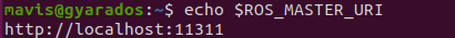ROS_MASTER_URI Result