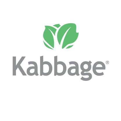 Image result for kabbage fintech