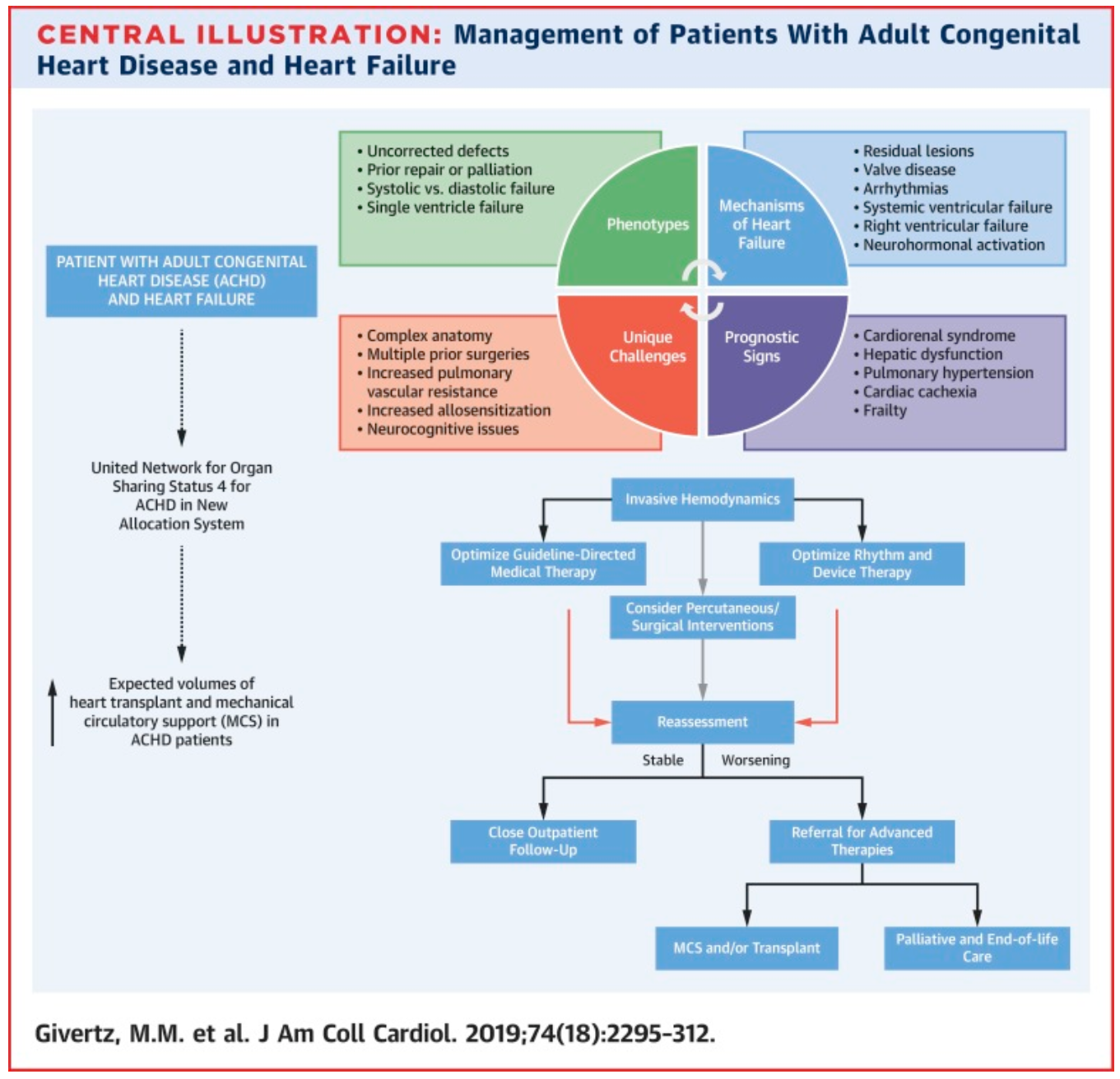 Non Traditional Therapies And Procedures For Patients With Advanced