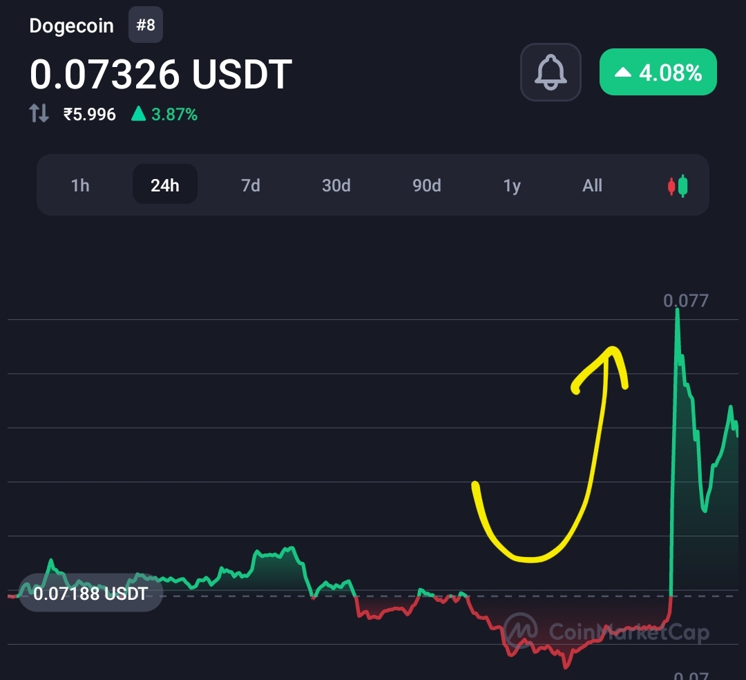 Elon Musk puts the Dogecoin symbol in his Twitter profile 3