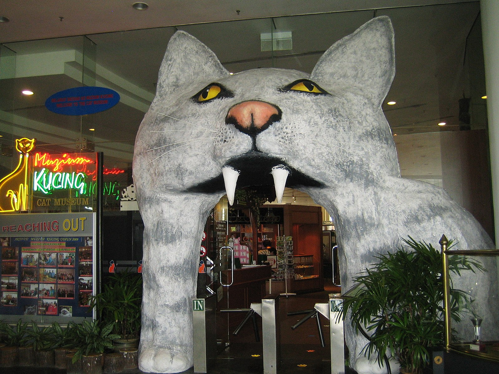 Top things to do in Kuching cat museum
