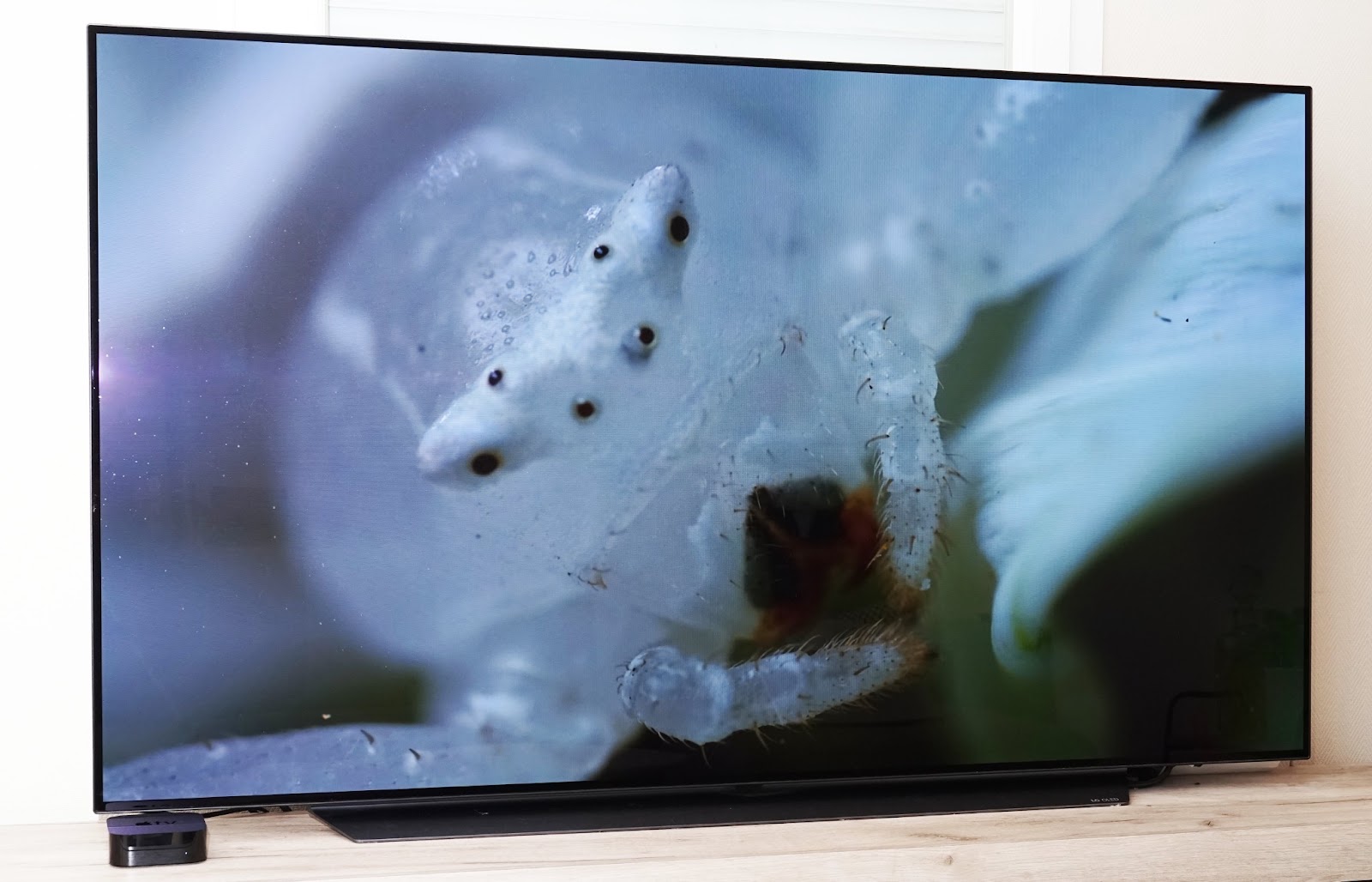 jubilæum Converge Hver uge Apple TV 4K 2021: Apple's expertise applied to TV - Son-Vidéo.com: blog