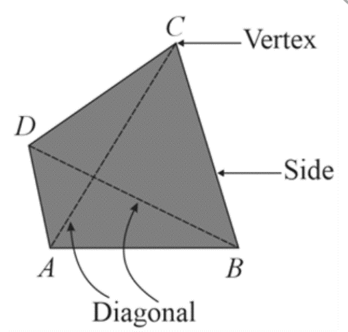 everything-you-need-to-know-about-quadrilaterals