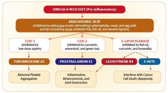 What is the Eicosanoid Pathway?