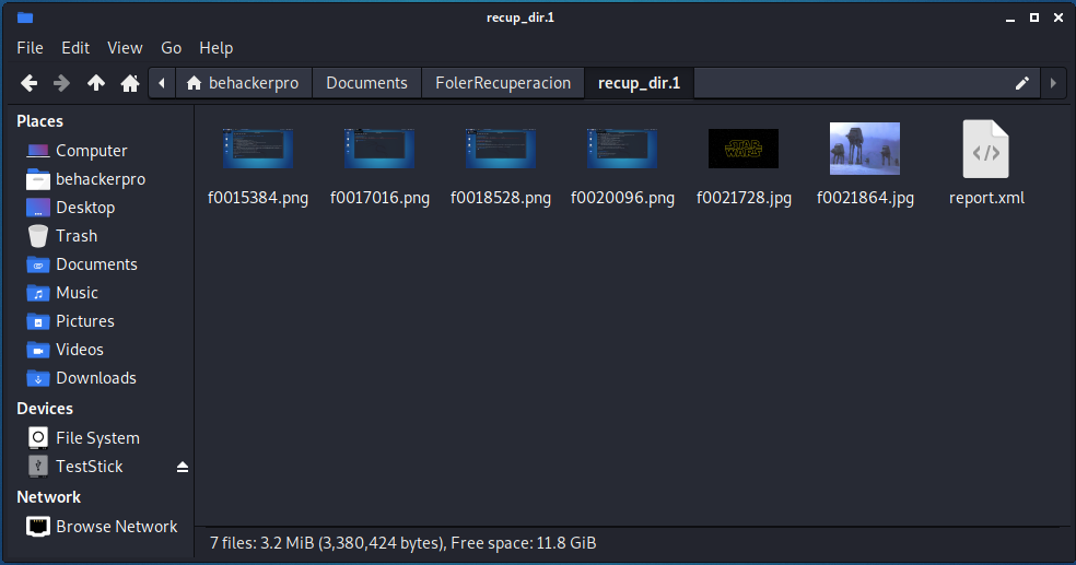 Como-recuperar-archivos-eliminados-de-una-MicroSD-con-PhotoRec-en-Kali-Linux-img28