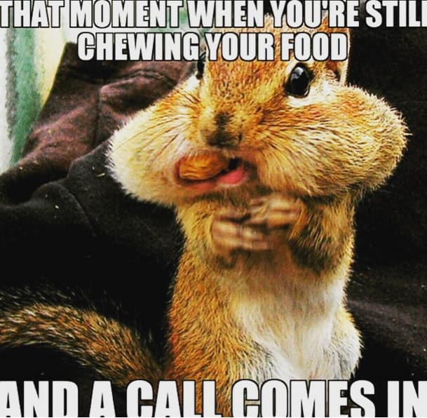 chipmunk-call-center-meme