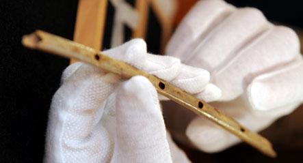 Stone Age flute oldest instrument ever found