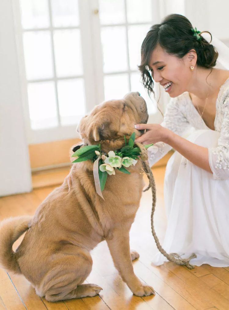 How to Incorporate Your Pets Into Your Upcoming Elopement