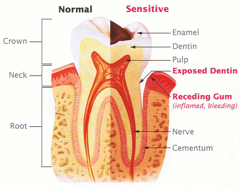 Optimal Health - qEzU8HtfhTd8Ds13fGS3hdw4h9 - Optimal Health - Health Is True Wealth.