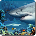 Shark Reef Live Wallpaper apk