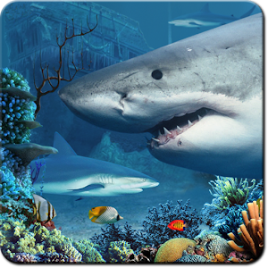 Shark Reef Live Wallpaper apk Download