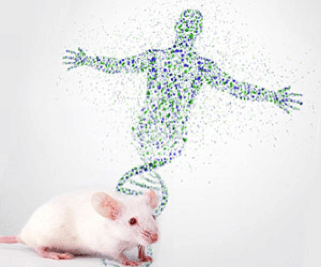 Humanized Mouse Models - Creative Biolabs