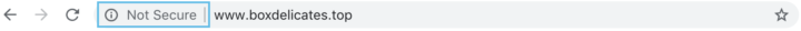Not Secure URL Example
