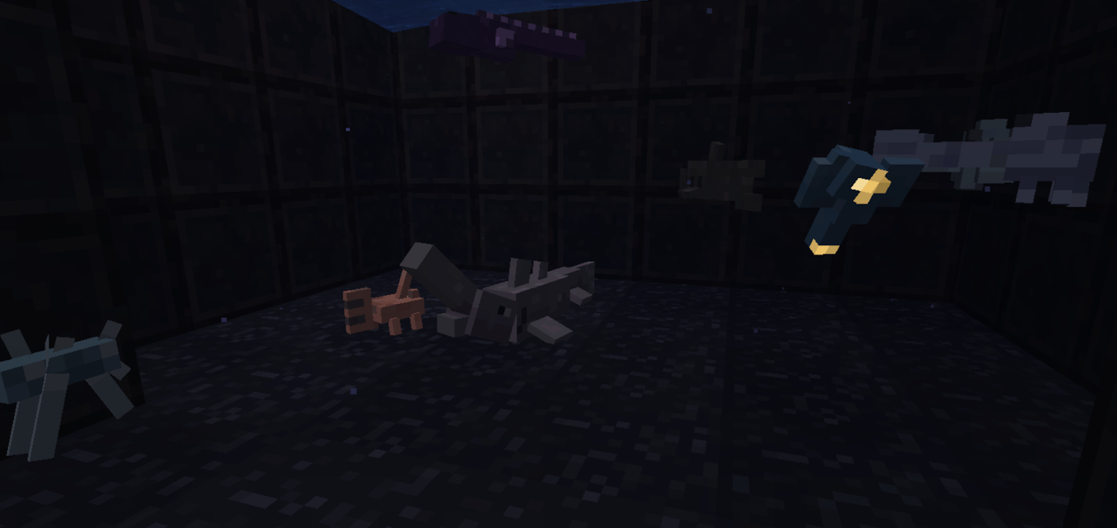 Some deep sea creatures
