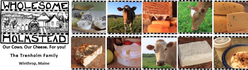 Wholesome Holmstead Curd Herd--Our Cows. Our Cheese. For You!