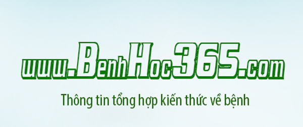 Logo website được thiết kế đơn giản, dễ nhận biết