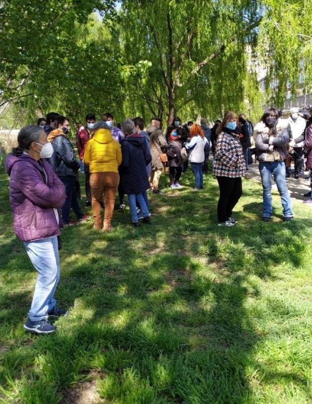 Concentración en Palencia en defensa del arbolado