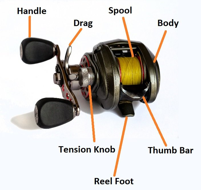parts of a baitcasting fishing reel