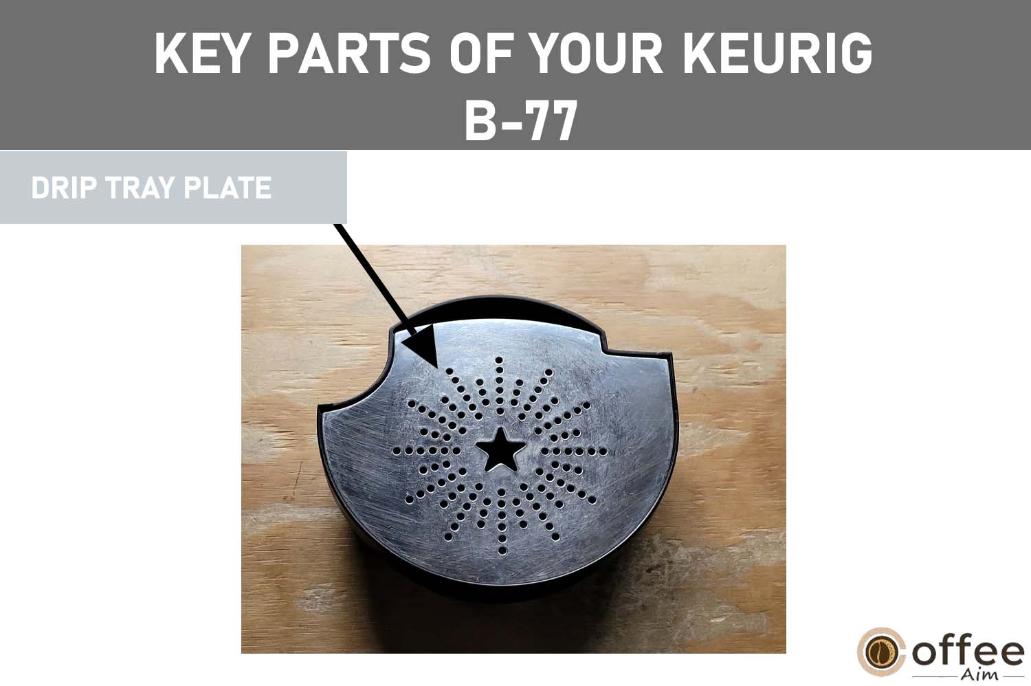 The drip tray plate in the Keurig B-77 coffee maker is a small, flat plastic piece with a sieve-like structure that sits on the drip tray, directing drips or spills toward the center.