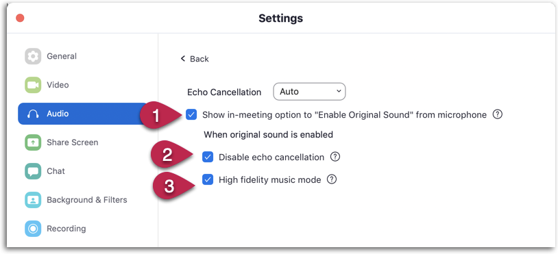 Zoom: audio settings