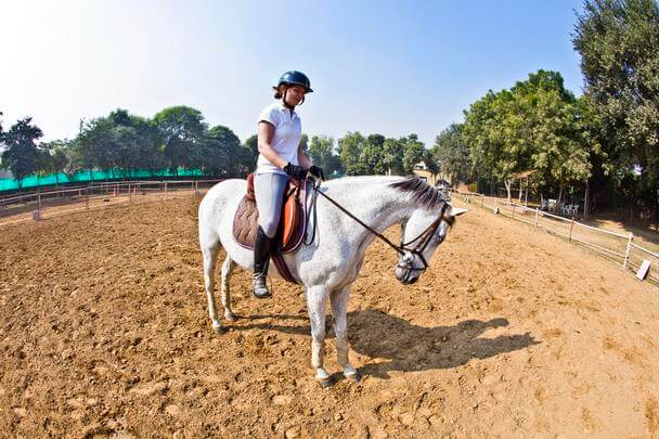 Colonie de vacances équitation au départ de Pau