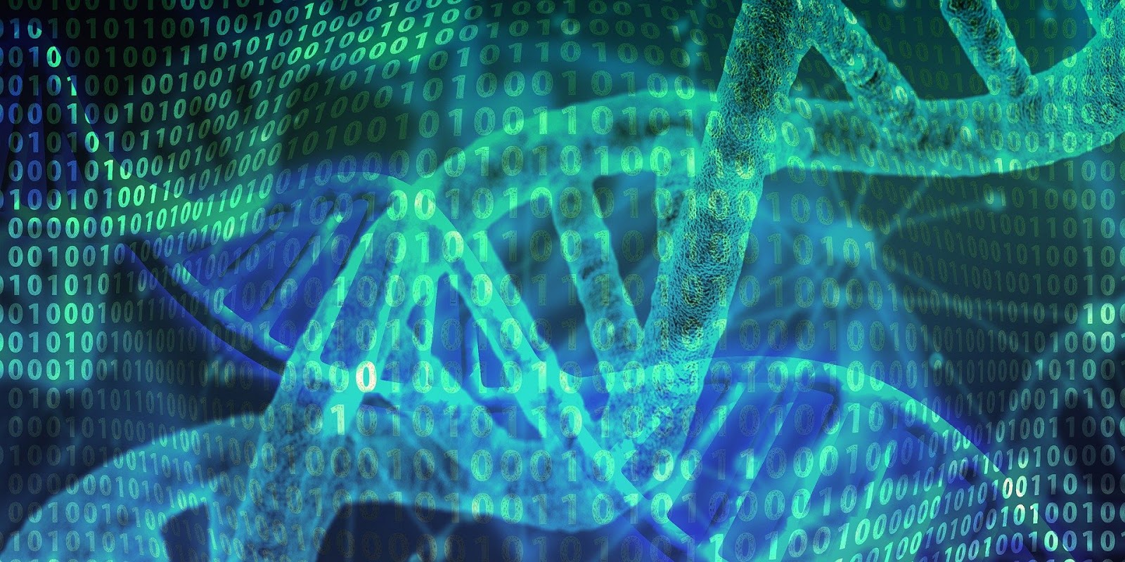 DNA e números binários