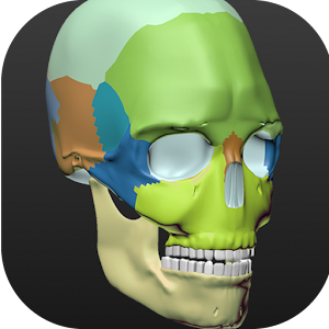Bones Human 3D (anatomy) apk Download