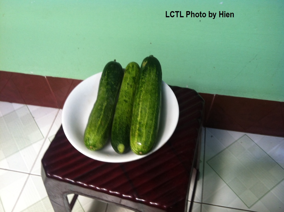 cucumber.jpg
