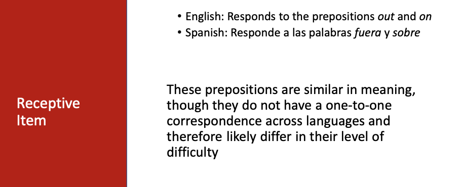 Receptive Item Considerations when assessing students from diverse backgrounds