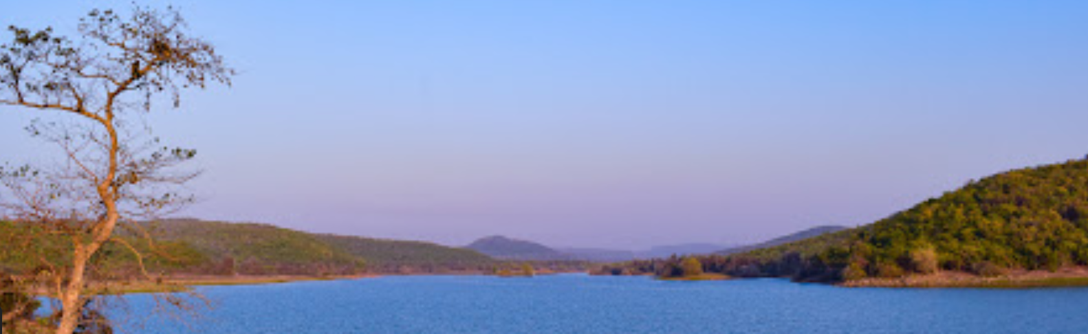 Chandaka Reserve Forest
