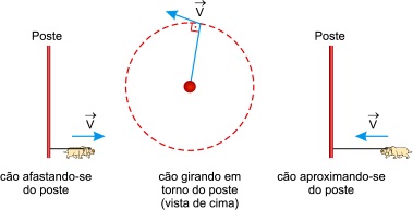 Assinale a opção que representa como 
a distância d entre o cão e o poste varia com o tempo t