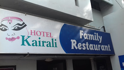 Hotel Kairali Towers (beer and wine parlor)