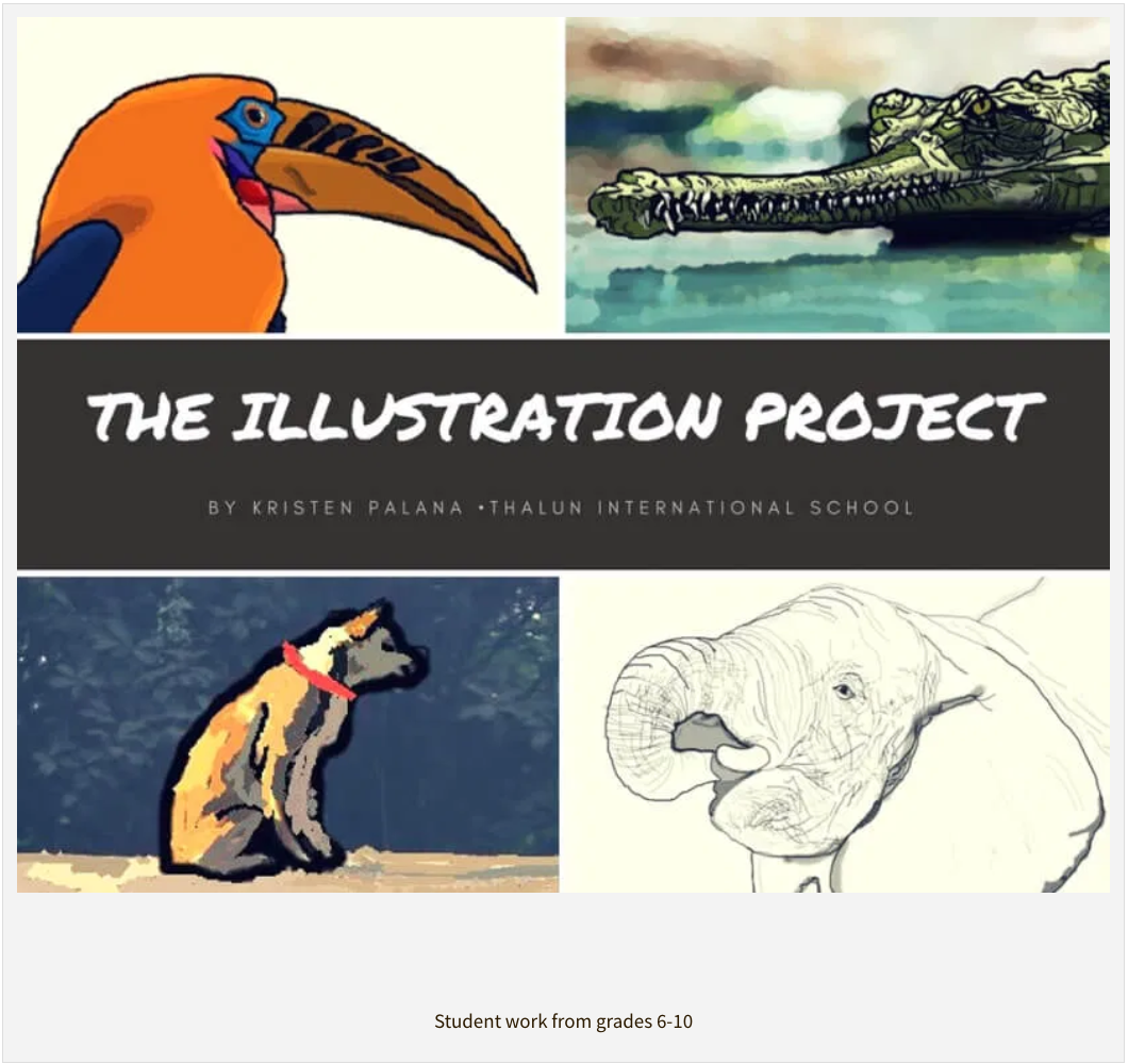 make your own professional illustrations