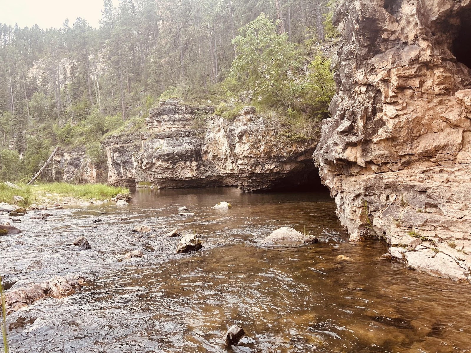 Creek Cave in the Black Hills forest
