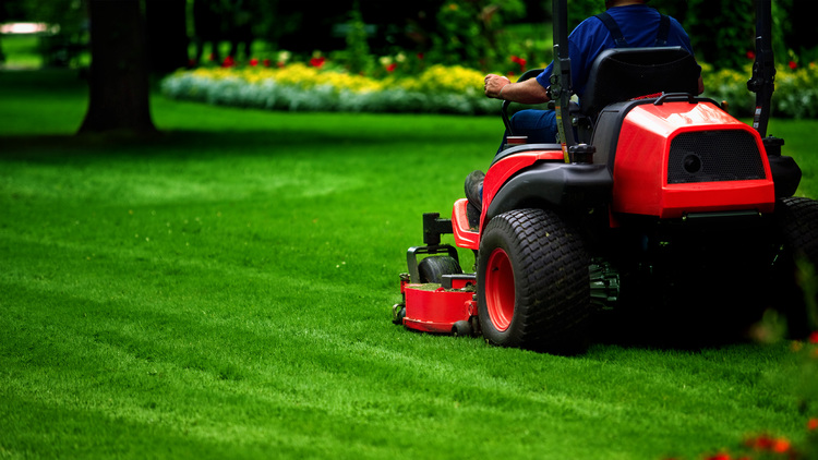 Lawn care dallas, ga