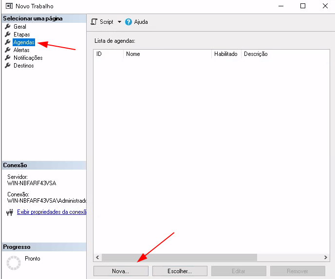 Janela de opções com menu esquerdo contendo as opções de Geral, Etapas, Agendas (selecionada em azul com seta vermelha), Alertas, Notificações e Destinos. Abaixo a Conexão com o servidor com o nome da máquina, tipo de conexão e abaixo o Progresso. No centro superior, temos a opção de Script, Ajuda, logo abaixo temos a opção de Nova demarcada com uma seta vermelha e ao lado Escolher.