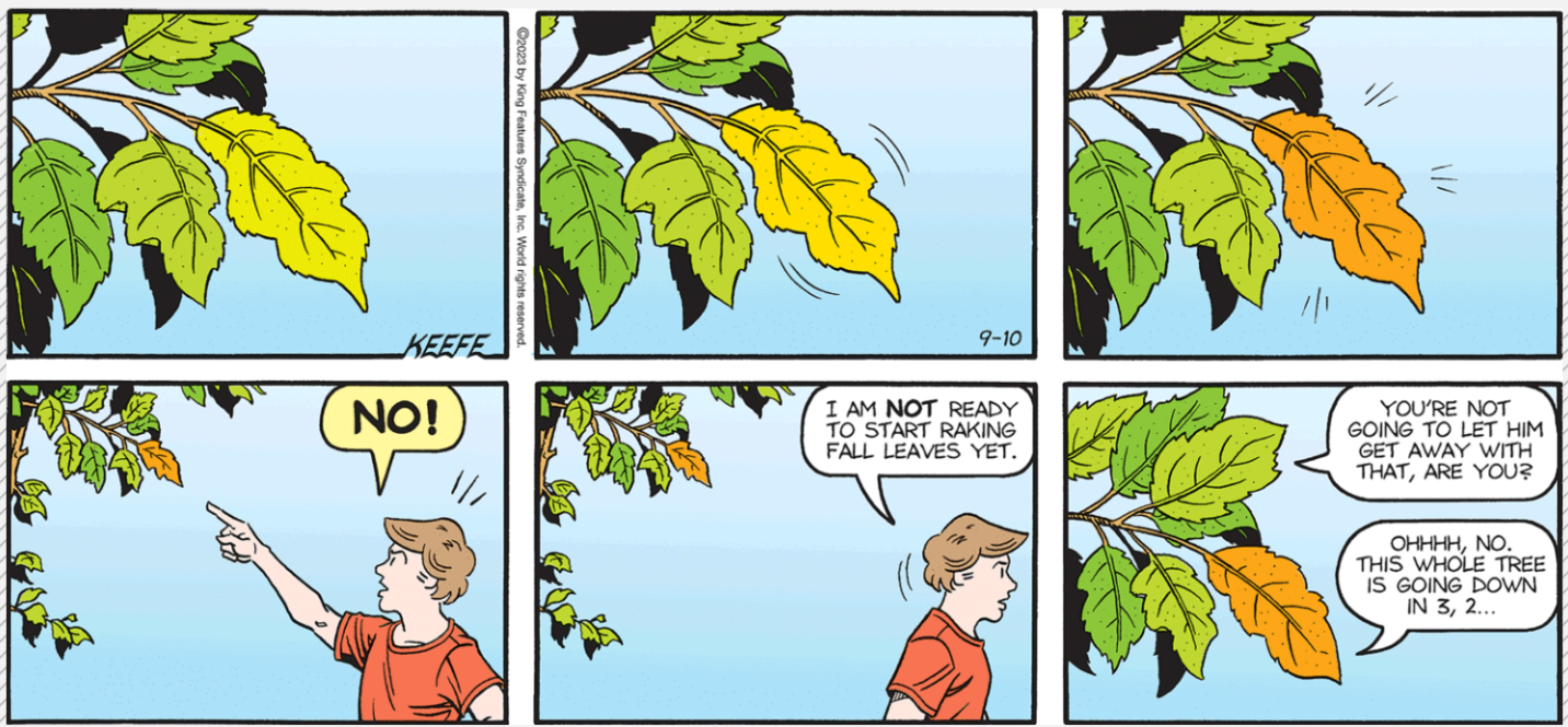 A comic strip of a person and a tree  Description automatically generated
