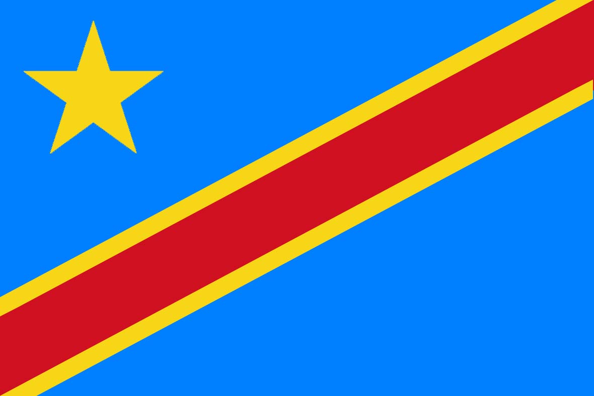 Image result for dr congo flag