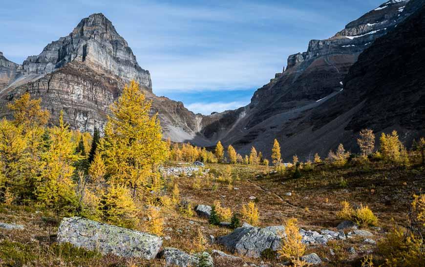 The Larch Valley - Sentinel Pass hike is a perennial favourite