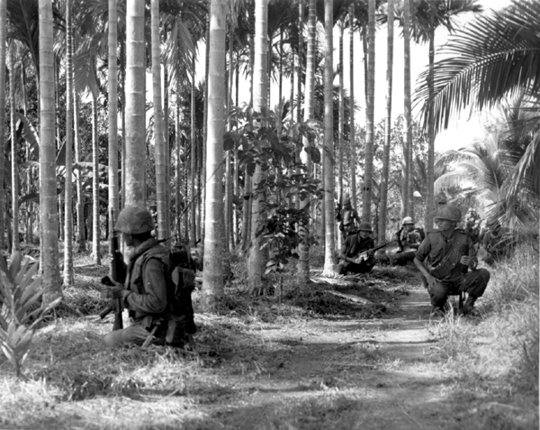 soldiers in war against North Vietnamese