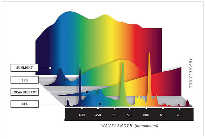 Figure 2) Color spectrum of different artificial lights. 