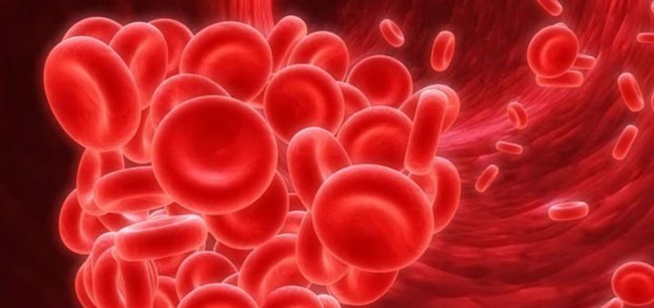 Imagen de glóbulos rojos de la sangre