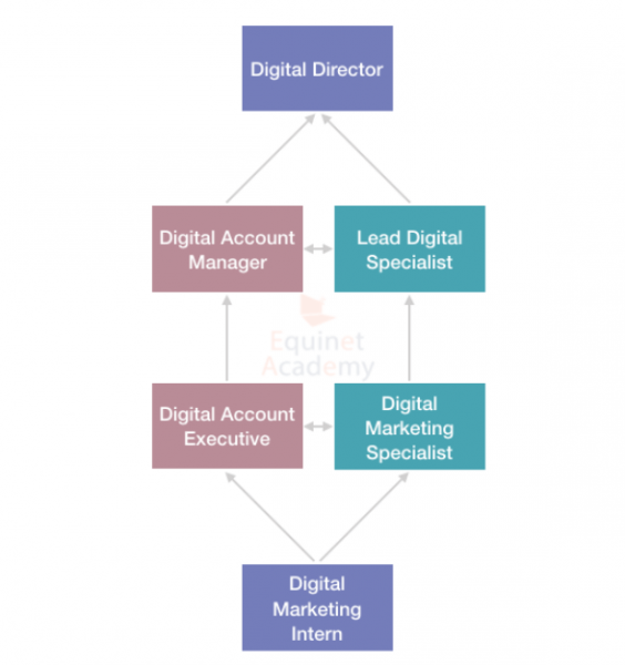 digital marketing intern career path 